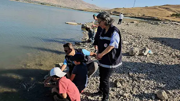 Van'da amatör balıkçılara göz açtırılmıyor