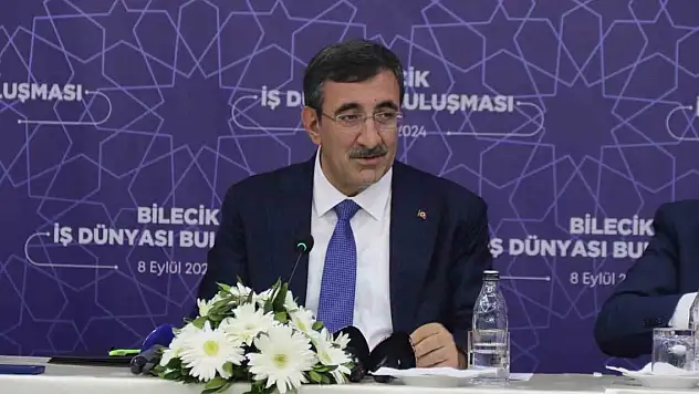 Cumhurbaşkanı Yardımcısı Yılmaz: 'OVP'nin ciddi anlamda çalıştığını görüyoruz'