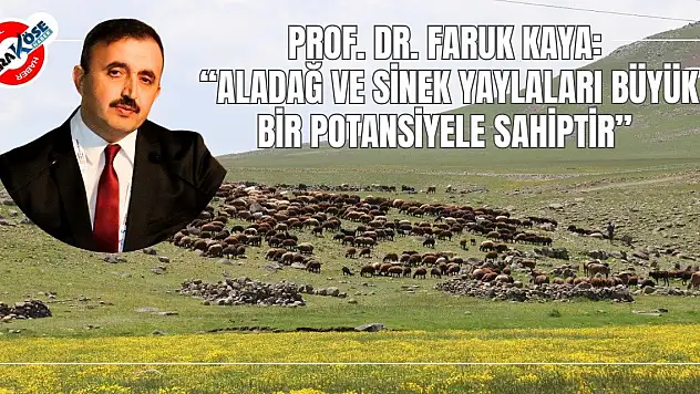 Prof. Dr. Faruk Kaya: 'Aladağ ve Sinek yaylaları büyük bir potansiyele sahiptir'