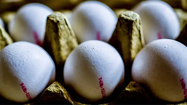 Yumurta Kodları Nelerdir? Hangi Kod neyi ifade eder ?
