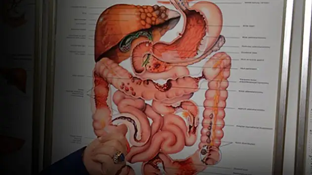 Hemoroid (Basur) nedir? Nasıl Çıkar ?Hemoroid nasıl geçer? Basur tedavi yöntemleri neler?