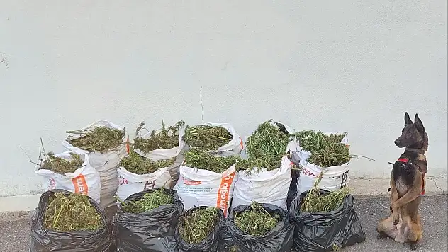 Erzurum'da uyuşturucu operasyonu