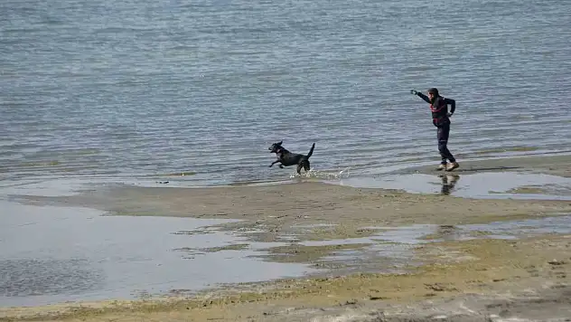 Van'da kayıp Rojin için AFAD'dan köpekli arama
