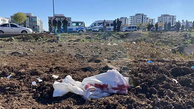 Diyarbakır'da tarla kavgası: 4 yaralı