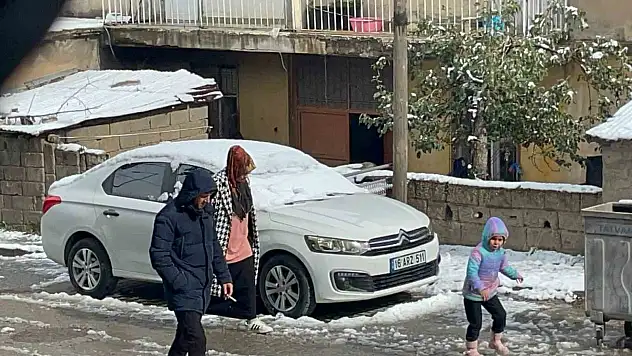 Tatvan'a da mevsimin ilk karı yağdı