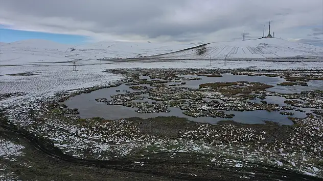 Kars'taki Çalı Gölü buz tuttu