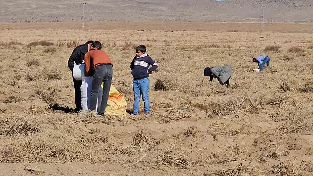 Bitlis'te bir çiftçi patatesleri bedava dağıttı
