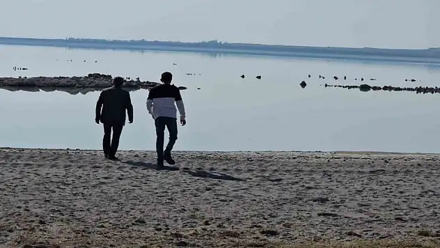 Bitlis Arin Gölü'nde Ördeklerin Keyfi Kameralara Yansıdı