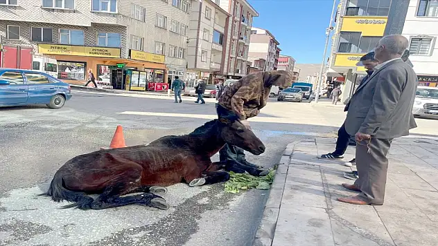 Kars'ta Bitkin Düşen Ata Halk Sahip Çıktı