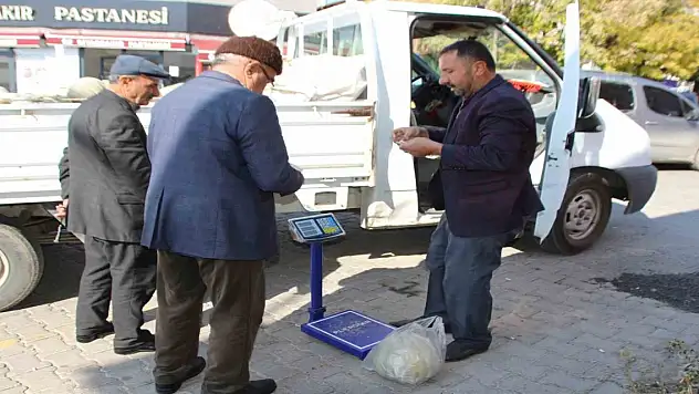 Muşlu Bir Çiftçi, Ürettiği Bal Kabaklarına Pazar Arayışında