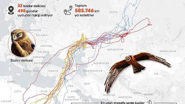 Iğdır'daki Aras Kuş Araştırma ve Eğitim Merkezi dünyada ilk sırada