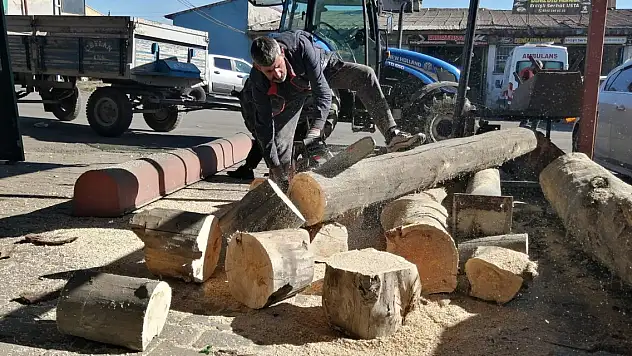 Ağrı'da hızarcılar iş başı yaptı