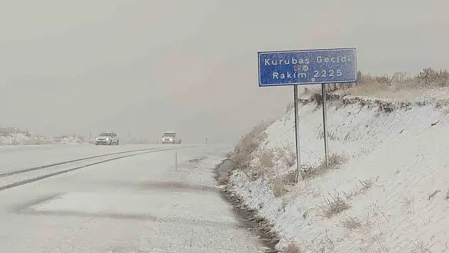 Van'da yüksek kesimlerde kar etkili oldu