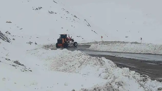 Van'ı kar kapladı