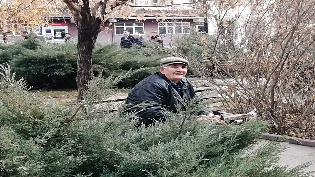 Ağrı Meydan Camisi'nin Sessiz Misafirleri
