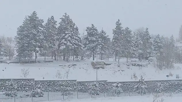 Aşkale'ye kar yağıyor