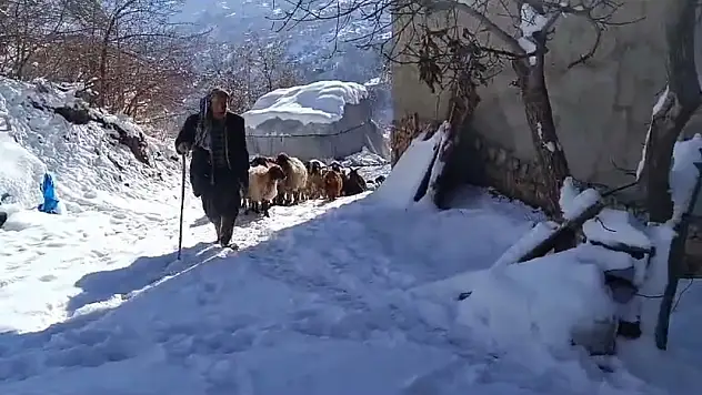 Van'ın Bahçesaray ilçesinde vatandaşların zorlu kış mesaisi başladı