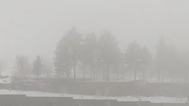 Erzurum'da yoğun sis trafiği etkiledi