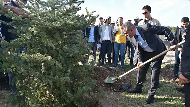 Ağrı'da 24 bin ağaç toprakla buluşacak