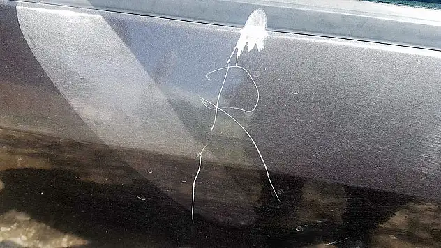 Taşlıçay'da paniğe neden olan olay