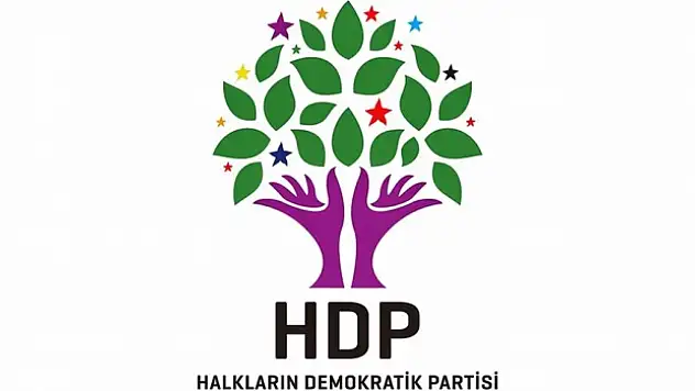 HDP Seçime Nasıl Girecek? Pervin Buldan Ağrı'da Açıkladı