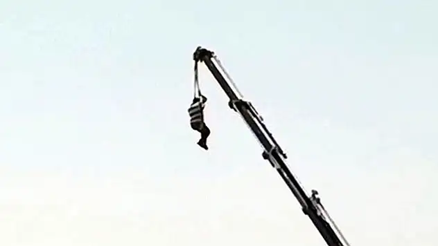 Ölümü göze alıp vinçte sallandı