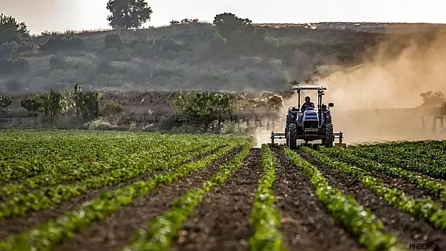 2024'te tarla ürünleri azaldı, sebze ve meyve üretimi arttı