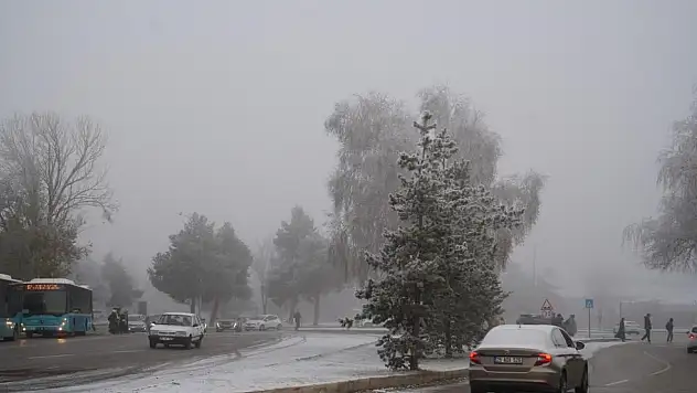 2025 verileri Erzurum trafiği için ne söylüyor?