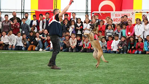 Ağrı'da eğitimli köpeklerin gösterisi büyüledi