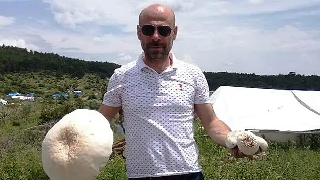 Yılın en ilginç mantarı