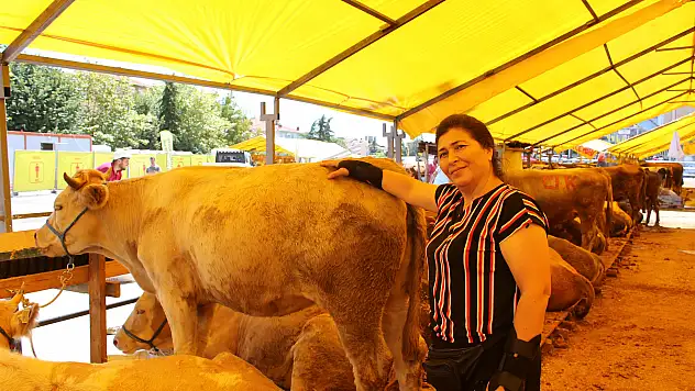 Ağrı'dan Giden Kadın Besici İlgi Odağı Oldu