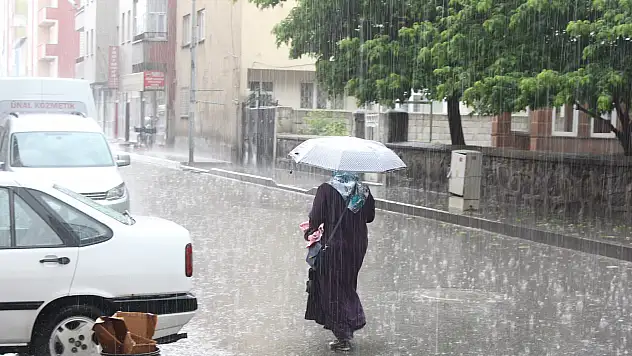 Ağrı'yı dolu vurdu