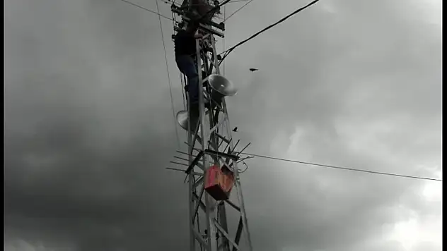 Yavru kuş için canını hiçe saydı
