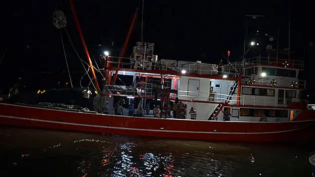 Balık sezonu açıldı