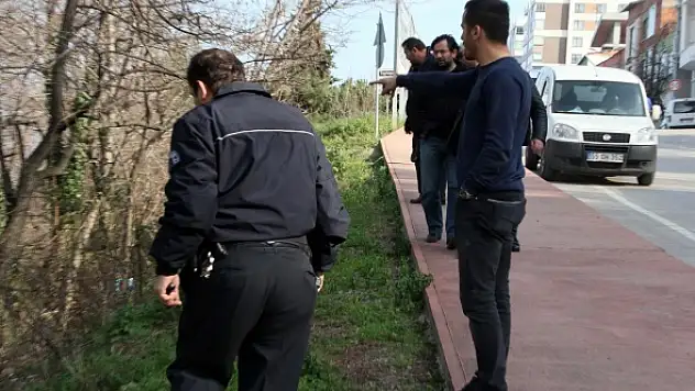 Ayı şehre  indi