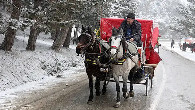 Bolu'ya tatilci akını
