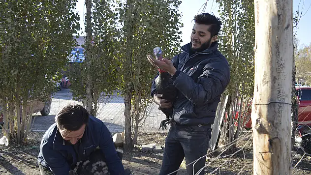 Kesmeye Kıyamadığı hindileri için sanayide çiftlik kurdu