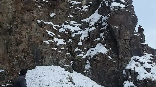 Kayalıklarda Mahsur kalan keçiyi AFAD kurtardı