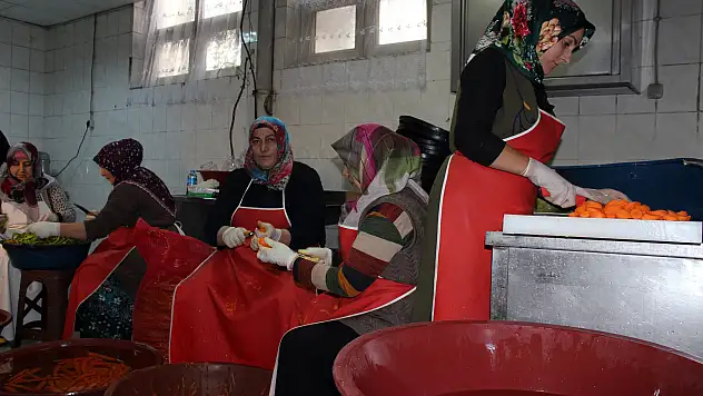 Ağrılı kadınlar günde 1,5 ton turşu üretiyor