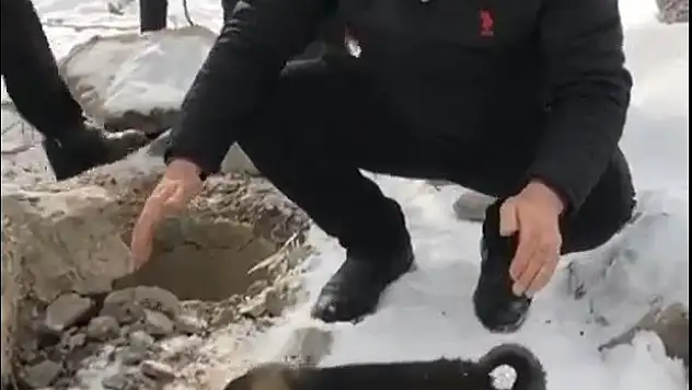 Ağrı'da su kuyusuna düşen yavru köpekleri itfaiye ekibi kurtardı