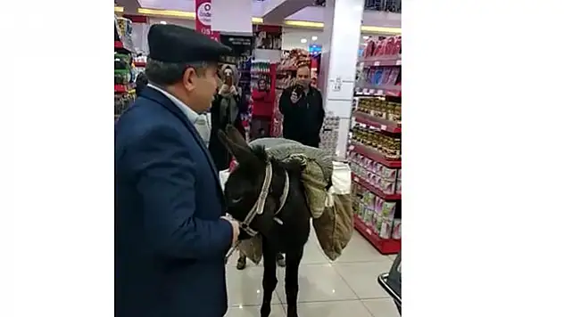 Eşekle markete girdi