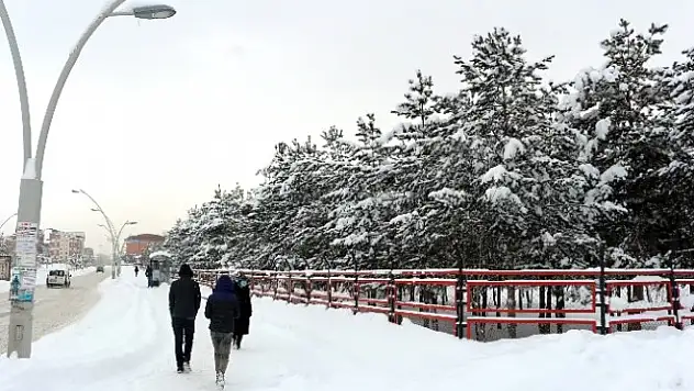 Ağrı'da okullar tatil edildi