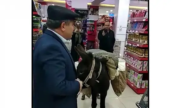 Eşşeğe ağır ceza