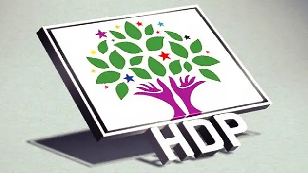 HDP Ağrı İlçe Belediye Başkan Adayları Açıklandı