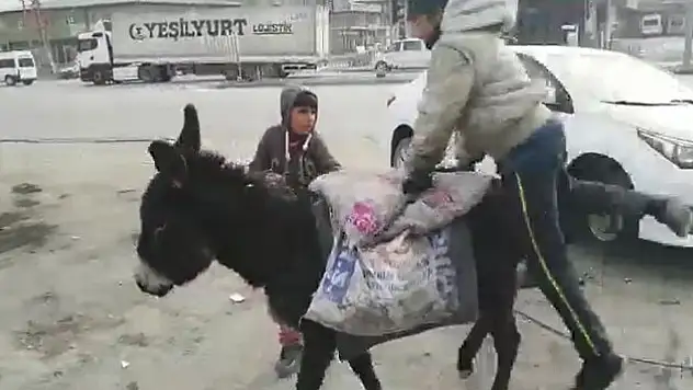 Doğubayazıt'ta eşşeğe binme mücadelesi