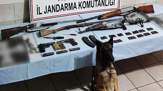 Ağrı'da terör operasyonu