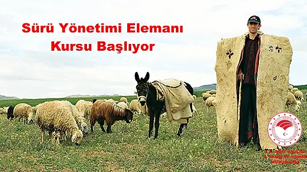 Sürü Yönetimi Elemanı Kursu Açılacak