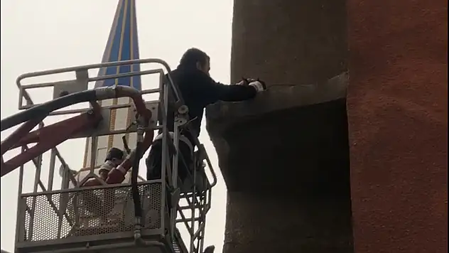 Ağrı'da tele takılan güvercini itfaiye ekipleri kurtardı