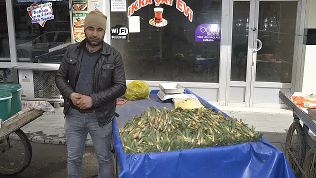 Baharın müjdecisi bitkiler tezgâhlara çıktı