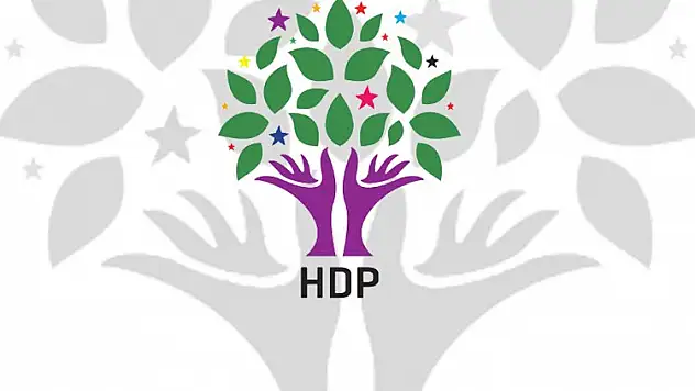 HDP Ağrı Belediye Başkan Adayı Açıklandı